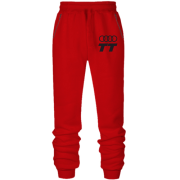 Штаны из футера без начеса Audi TT