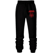 Штани з футера без начісу Anthrax із зіркою