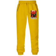 Штани з футера без начісу з Pussy Riot (обкладинка)