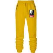 Штани з футера без начісу з Dr Dre