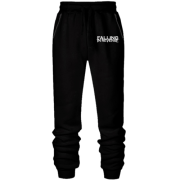 Штани з футера без начісу Falling in Reverse