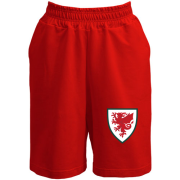 Шорти Збірна Уельсу по футболу