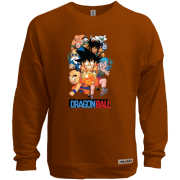 Свитшот без начеса Dragon Ball