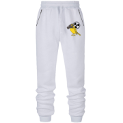 Штаны из футера без начеса "Боевые птицы"