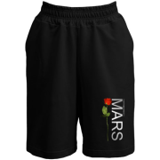 Шорти 30 секунд до марса