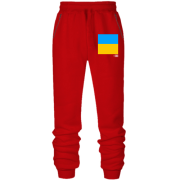 Штаны из футера без начеса с флагом и телефонным кодом +380