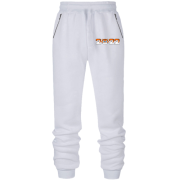 Штаны из футера без начеса с мордочкой тигренка 2022