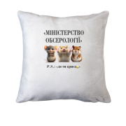 Подушка Министерство Обсерологии
