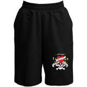 Шорти Ed Hardy