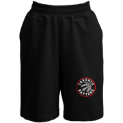 Шорты Toronto Raptors (2)