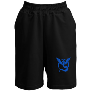 Шорти Team Mystic