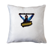 Подушка КОНТРОЛЬНЫЙ