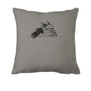 Подушка с котом-фотографом