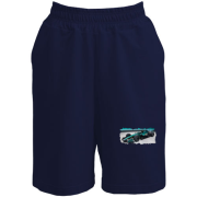 Чоловічі шорти Aston Martin F1