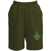 Чоловічі шорти UA Air Force ART (Вишивка)