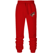 Штаны Phoenix Coyotes (Вышивка)
