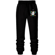Штаны из футера без начеса Anaheim Ducks (2)