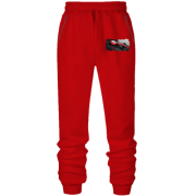 Штаны из футера без начеса Ferrari F1