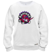 Свитшот Toronto Raptors