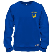 Свитшот Ukraine (mini)