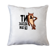 Подушка Ти заходь, якщо що