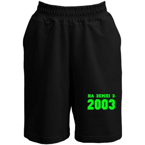Шорти На землі з 2003