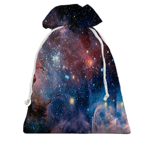 3D Подарунковий мішечок NASA (вид ззаду)