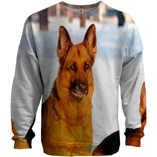 3D свитшот с немецкой овчаркой (вид спереди)