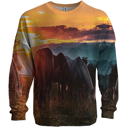 3D свитшот с лошадьми (вид спереди)