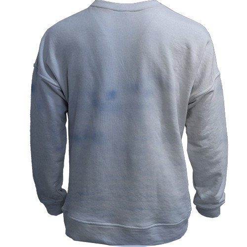 3D свитшот с полярным лисом (вид сзади)