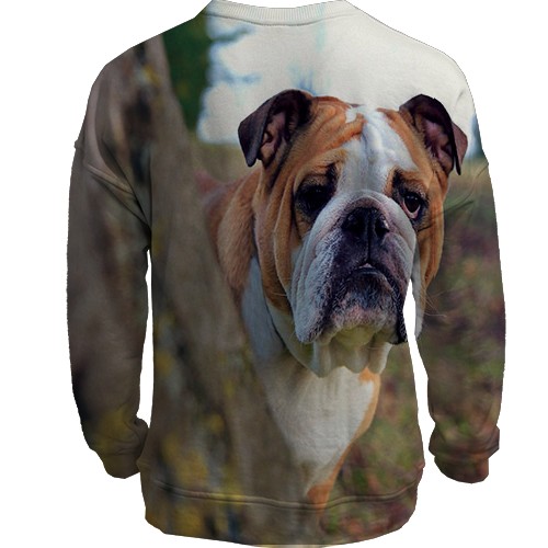 3D світшот з бульдогом (вид ззаду)