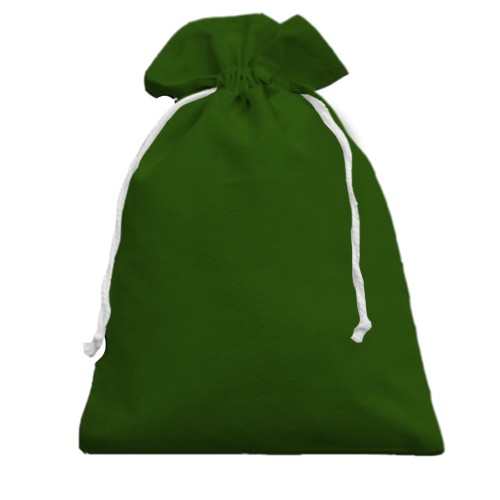 3D Подарочный мешочек с зеленой змеей рептилией (вид сзади)