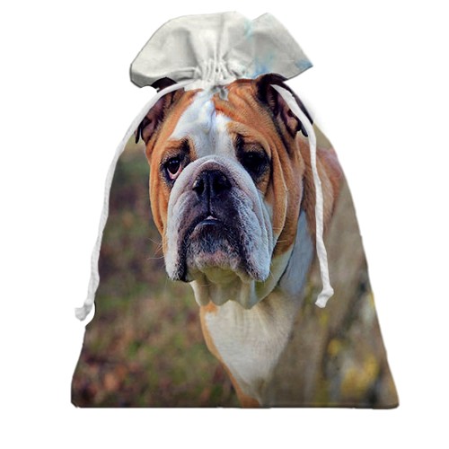 3D Подарунковий мішечок з бульдогом (вид спереду)