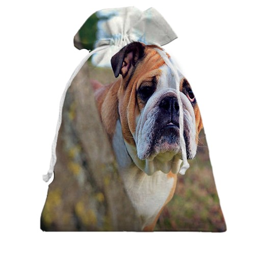 3D Подарунковий мішечок з бульдогом (вид ззаду)