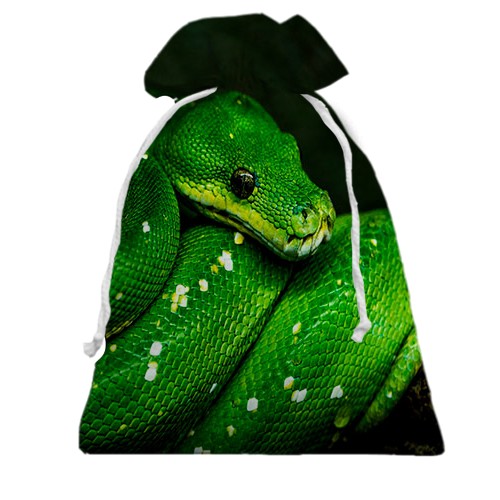 3D Подарочный мешочек с зеленой змеей (вид спереди)