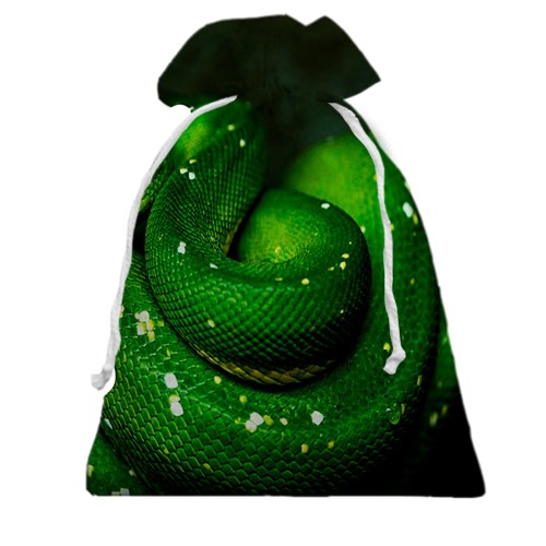 3D Подарочный мешочек с зеленой змеей (вид сзади)