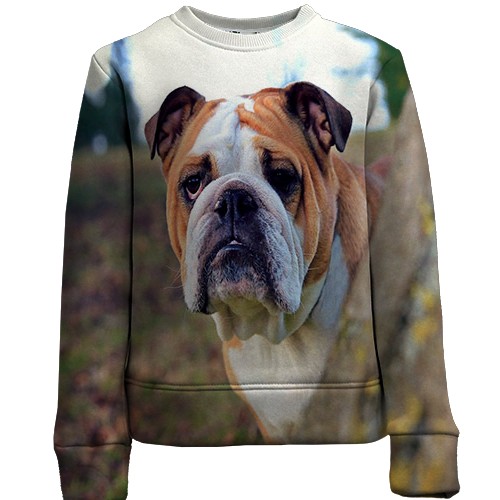 Дитячий 3D світшот з бульдогом (вид спереду)