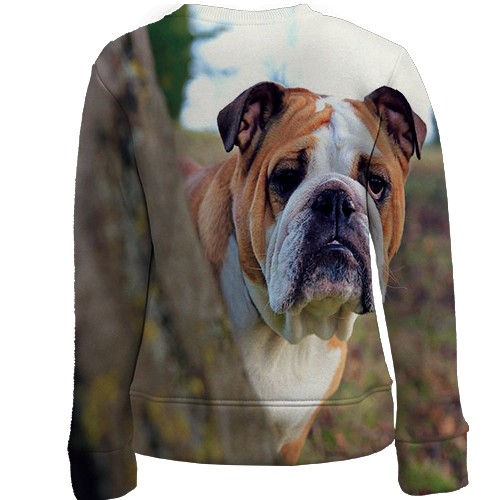 Дитячий 3D світшот з бульдогом (вид ззаду)