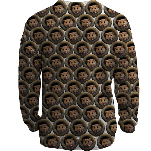 3D свитшот с крысками в норках (вид сзади)