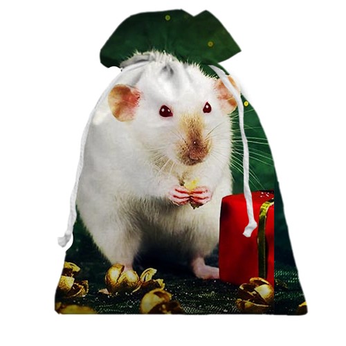 3D Подарочный мешочек с новогодней крысой и подарком 2020 (вид сзади)