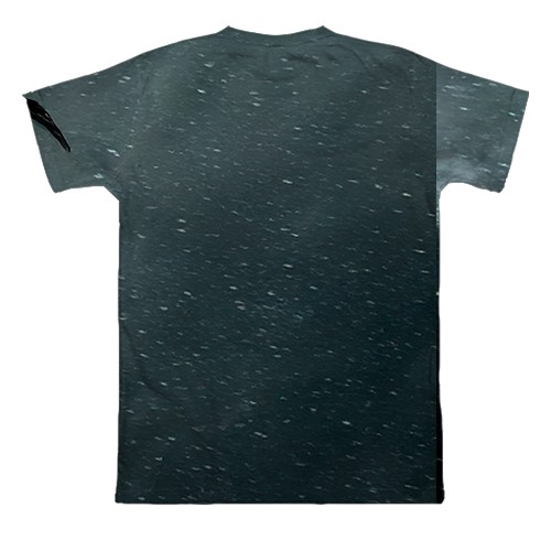 3D футболка TES V Skyrim - Dragon (вид ззаду)