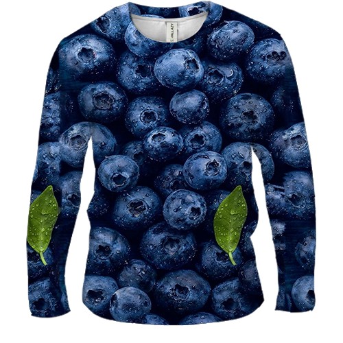 Чоловічий 3D лонгслів Чорниця (вид спереду)