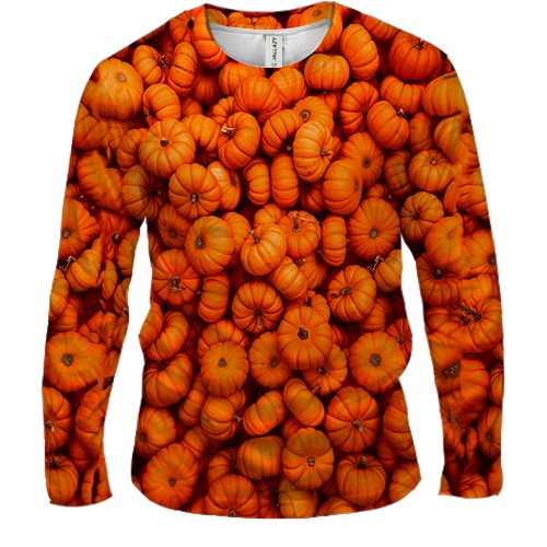 Чоловічий 3D лонгслів Гарбузи (вид спереду)
