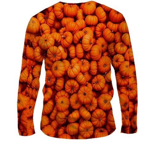 Чоловічий 3D лонгслів Гарбузи (вид ззаду)