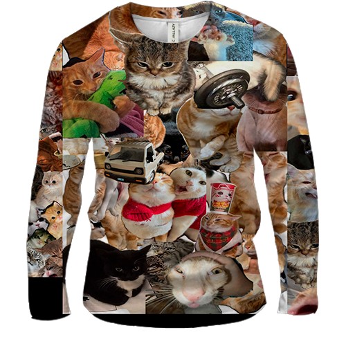 Мужской 3D лонгслив Мемные коты (вид спереди)