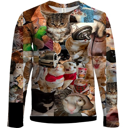 Детский 3D лонгслив Мемные коты (вид спереди)