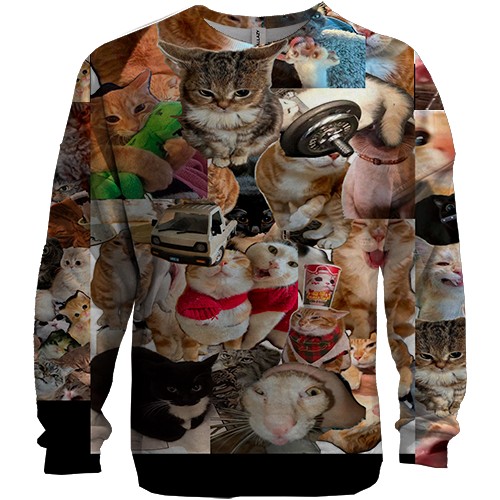 3D свитшот Мемные коты (вид спереди)