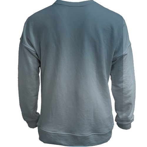 3D свитшот Hell is Us (вид сзади)