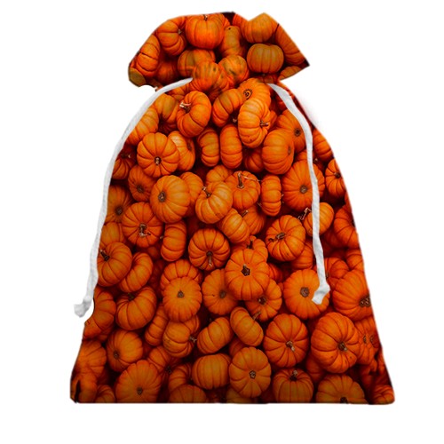 3D Подарунковий мішечок Гарбузи (вид спереду)