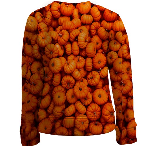 Детский 3D свитшот Тыквы (вид сзади)
